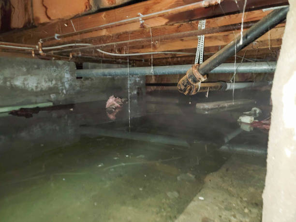Best Water damage contractors near me  in Augusta, GA