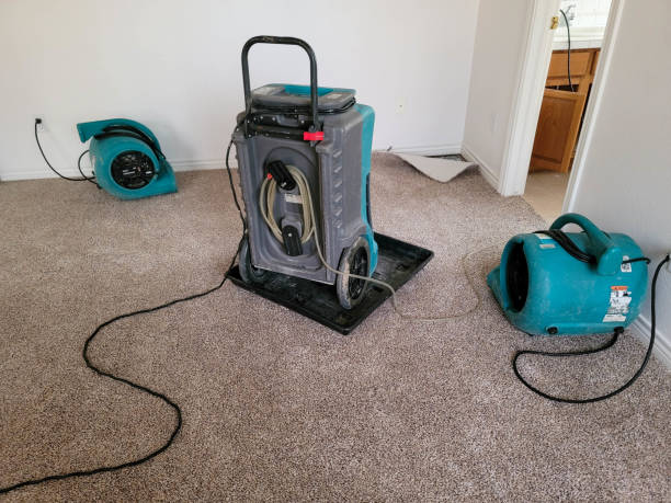 Best Carpet water damage restoration  in Augusta, GA