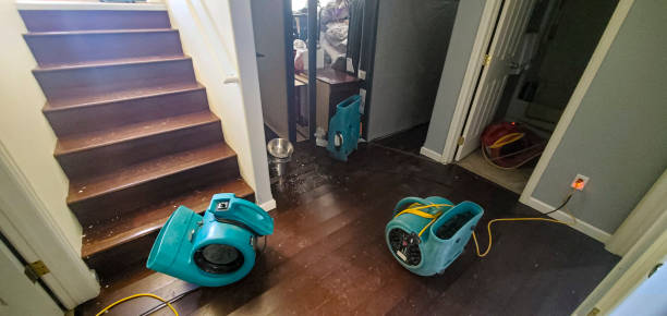 Best Flood restoration services  in Augusta, GA