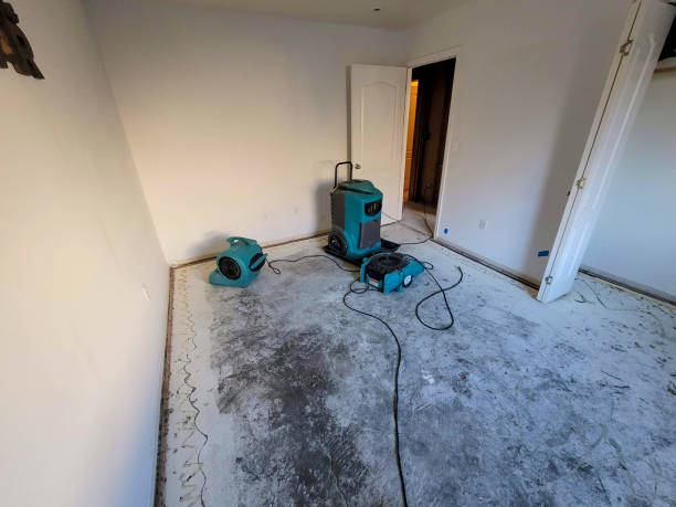 Best Sewage cleanup and water damage restoration  in Augusta, GA