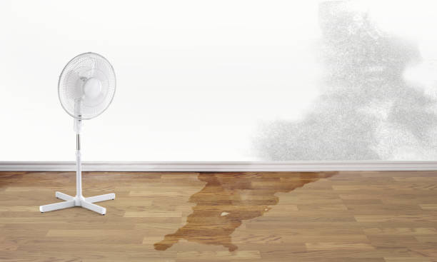 Best Water damage restoration near me  in Augusta, GA
