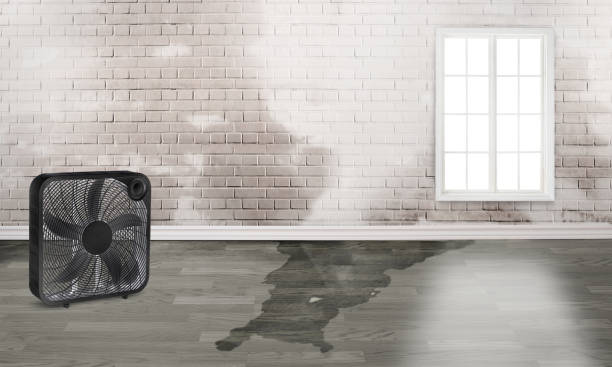 Best Water damage cleanup near me  in Augusta, GA