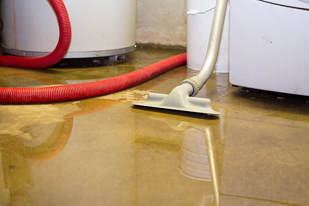 Best Mold removal after water damage  in Augusta, GA