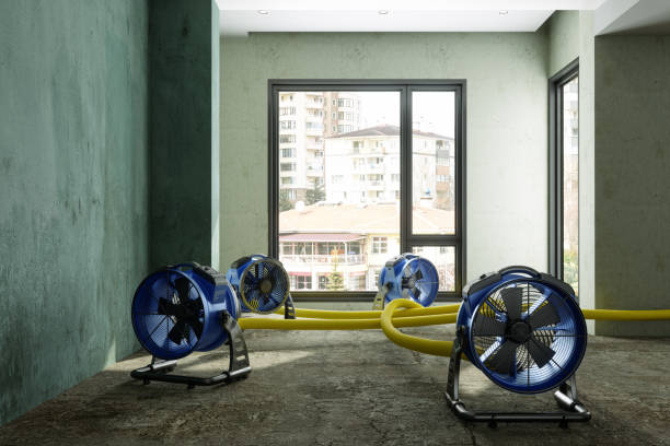 Best Water damage restoration near me  in Augusta, GA